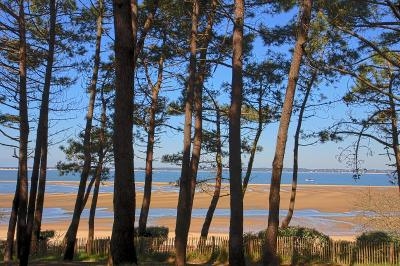 Séjour Linguistique Français à Arcachon - Arcachon