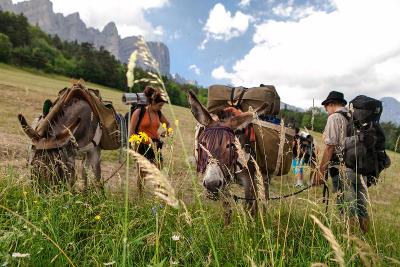 Colonie Itinérante avec des Ânes dans le Vercors - Isère