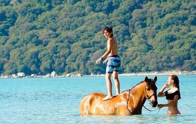 Séjour Equitation en Corse - Corse-du-Sud