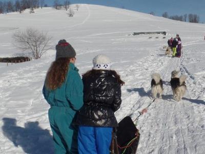 Découvre la Vie de Musher dans le Puy de Dôme Hiver - Puy-de-Dôme