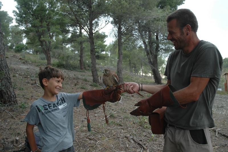 Colonies de vacances animaux