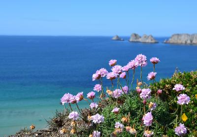 Colonies de vacances Finistère 2024