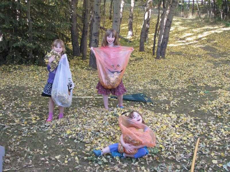 Colonies de vacances octobre 2026