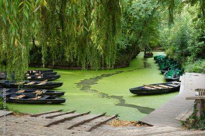 Colonies de vacances Poitou-Charentes 2024