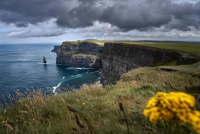 Séjours linguistiques Irlande immersion 2024