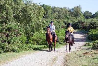 Stages équitation adultes 2024