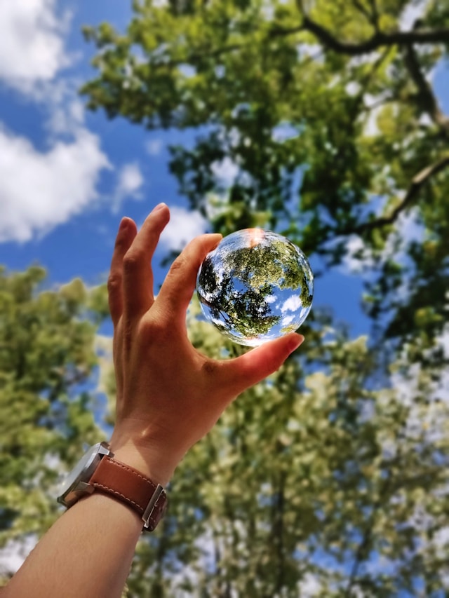 une main qui tient une terre avec un fond avec des arbres