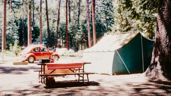 La colonie de vacances histoire