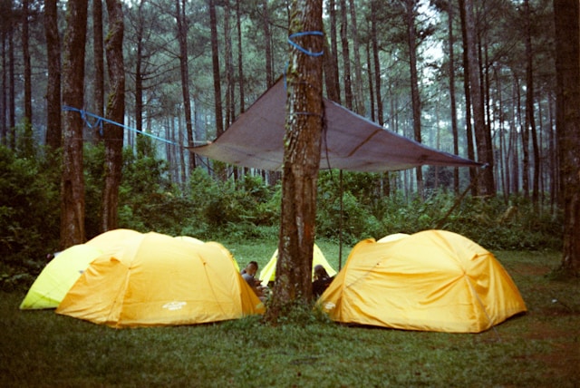 Camper en colonie de vacances