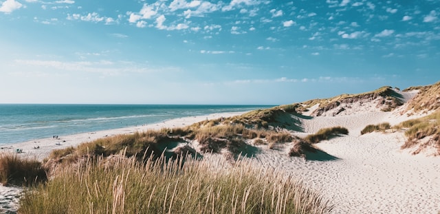 Aller à la mer en colo